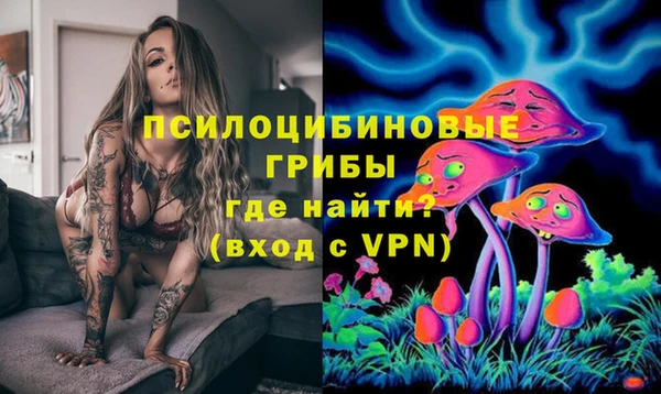 прущая мука Надым