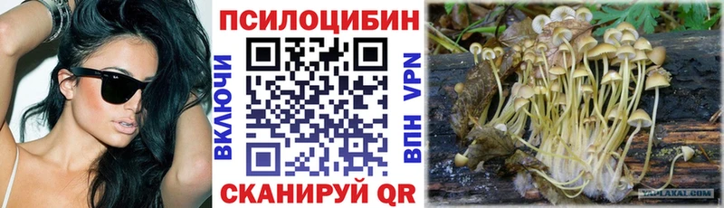 купить наркоту  ссылка на мегу как войти  Галлюциногенные грибы Magic Shrooms  Соль-Илецк 